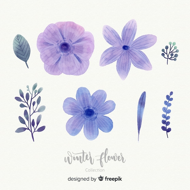 Gratis vector aquarel winter bloem collectie