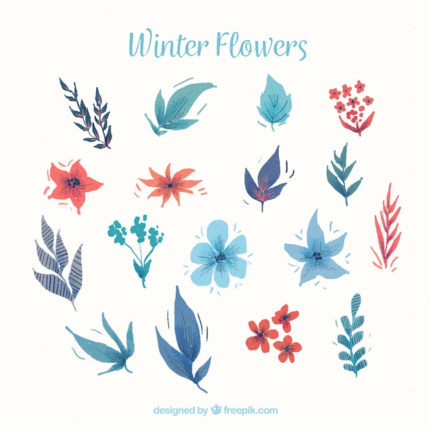 Aquarel winterbloemen in blauwe en rode tonen