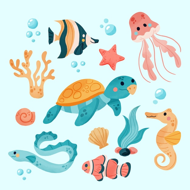 Aquarel zeedieren collectie