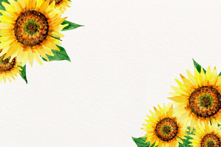 Gratis Vector aquarel zonnebloem grens