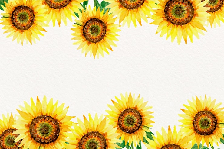 Gratis Vector aquarel zonnebloem grens