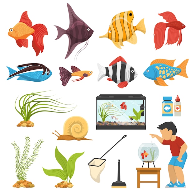 Gratis vector aquaristiek aquariumvisset