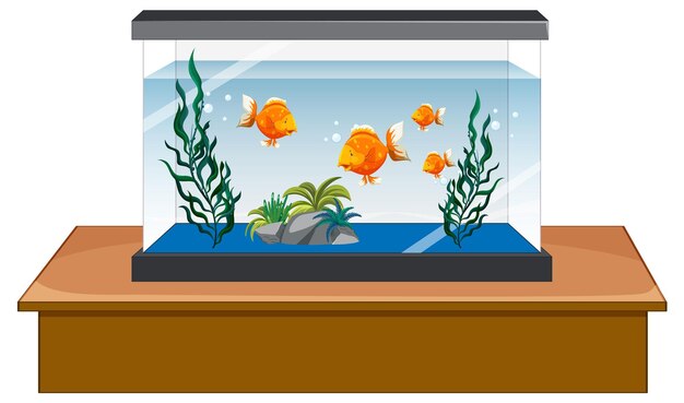 Aquariumtank met gouden vissen op witte achtergrond