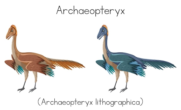 Gratis vector archaeopteryx in twee kleuren