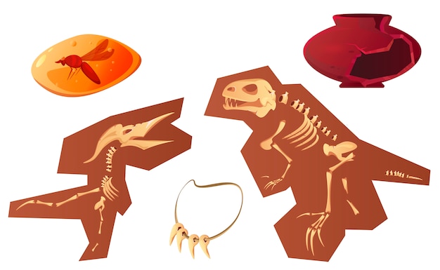 Gratis vector archeologische en paleontologische vondsten cartoon