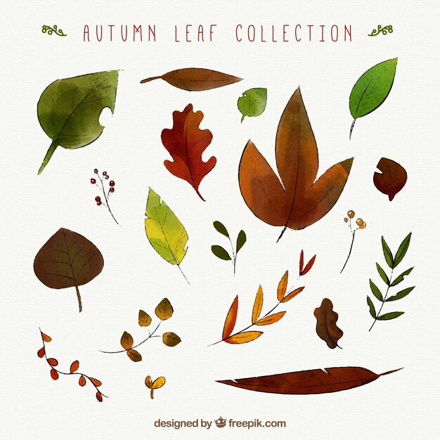 Gratis vector artistieke pak waterverf herfstbladeren