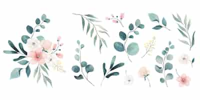 Gratis vector assortiment van aquarel bladeren en bloemen