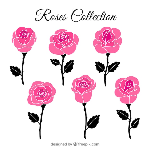 Gratis vector assortiment van decoratieve rozen