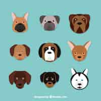 Gratis vector assortiment van negen honden van verschillende rassen