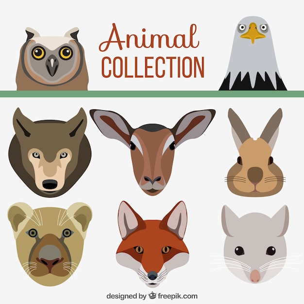 Gratis vector assortiment van platte decoratieve dieren