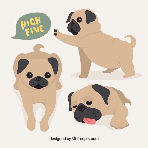 Gratis vector baby pug honden