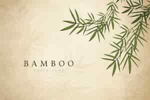 Gratis vector bamboe bladachtergrond