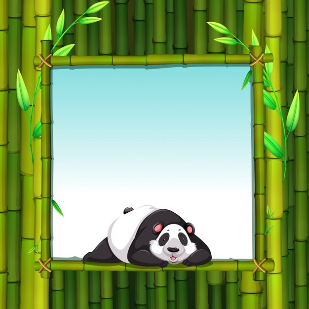 Bamboe frame