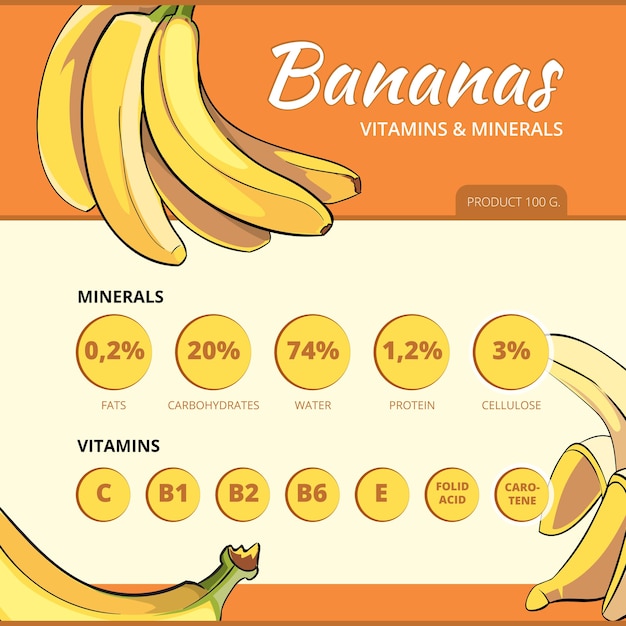 Banaan en vitamines vector infographics. informatie over voedsel, verse voeding en gezondheidsillustratie