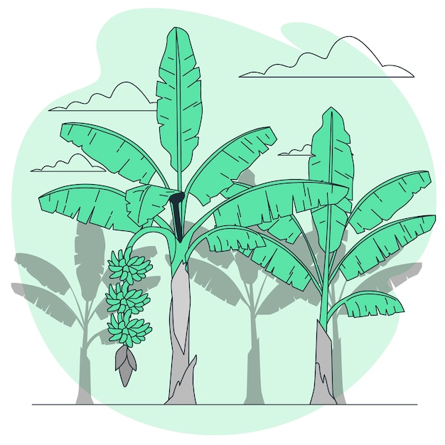 Gratis vector bananenboom concept illustratie