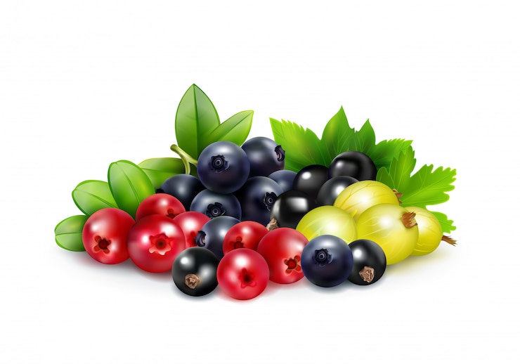Gratis Vector berry mix realistisch concept