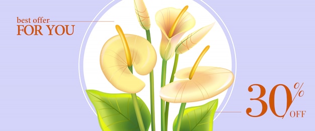Gratis vector beste aanbod voor u, dertig procent korting banner met witte calla lelies