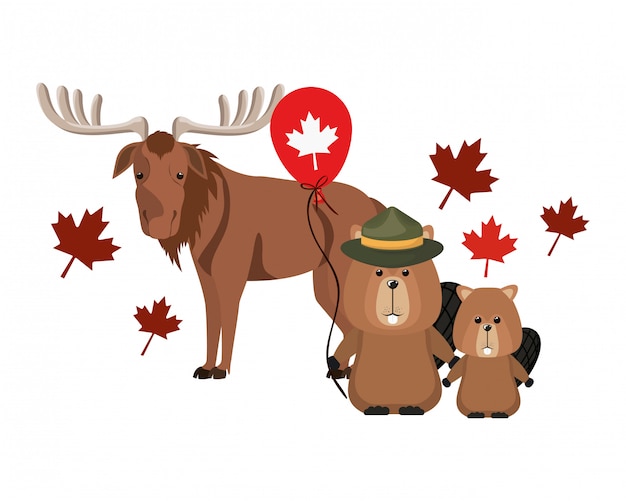 Bever en Amerikaanse elanddier van Canada