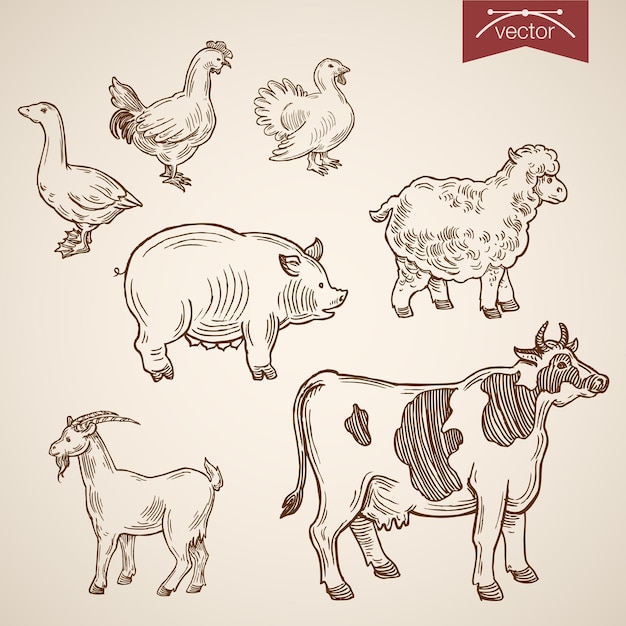 Gratis vector binnenlandse boerderij vriendelijke grappige dieren icon set.