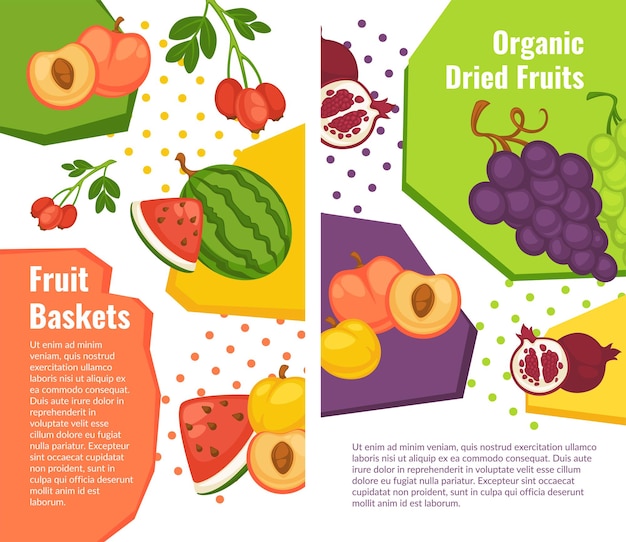 Biologische fruitmand perzik en druiven vector