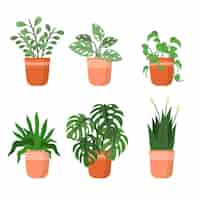 Gratis vector biologische platte kamerplantcollectie