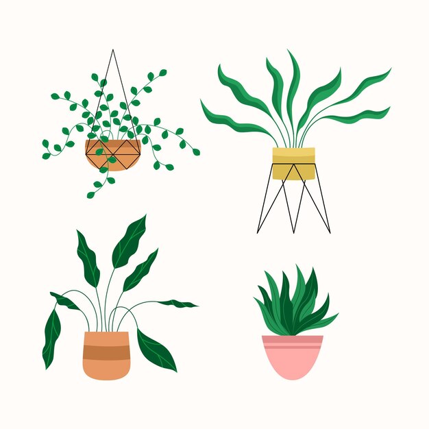 Gratis vector biologische platte kamerplantcollectie