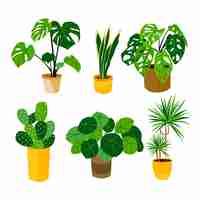 Gratis vector biologische platte kamerplantcollectie