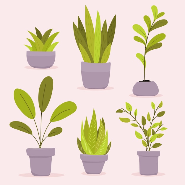 Gratis vector biologische platte kamerplantcollectie