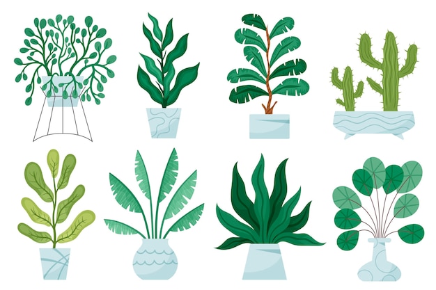 Gratis vector biologische platte kamerplantcollectie