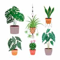 Gratis vector biologische platte kamerplantcollectie