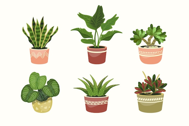 Gratis vector biologische platte kamerplantcollectie