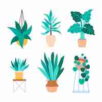 Gratis vector biologische platte kamerplantcollectie