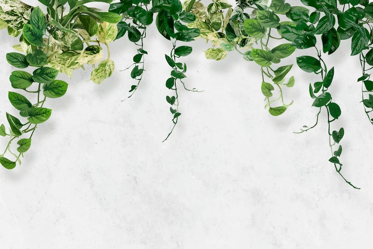 Gratis Vector blad achtergrond behang tropische vector, groene kamerplant