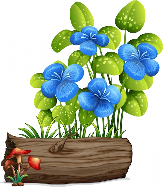 Blauwe bloemen en paddestoelen