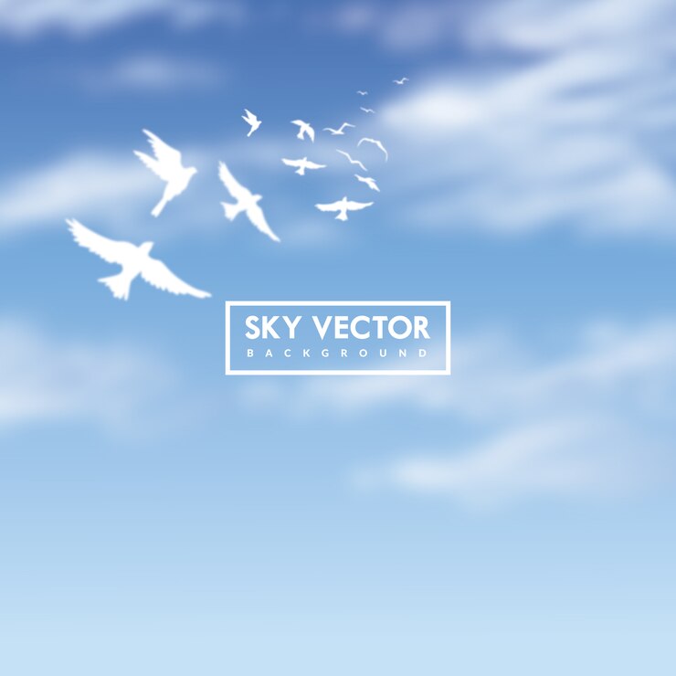 Blauwe hemelachtergrond met witte vogels