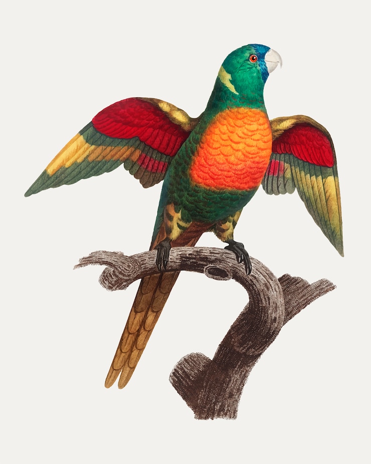 Gratis Vector blauwkopige pionus