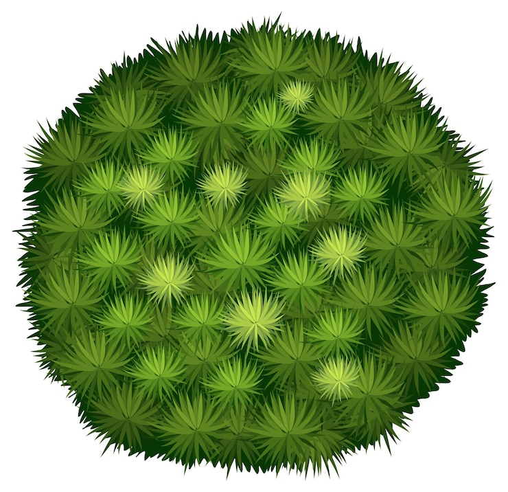 Gratis Vector bloed bragon