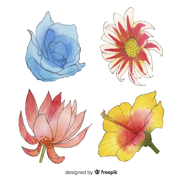 Gratis vector bloem en bladcollectie