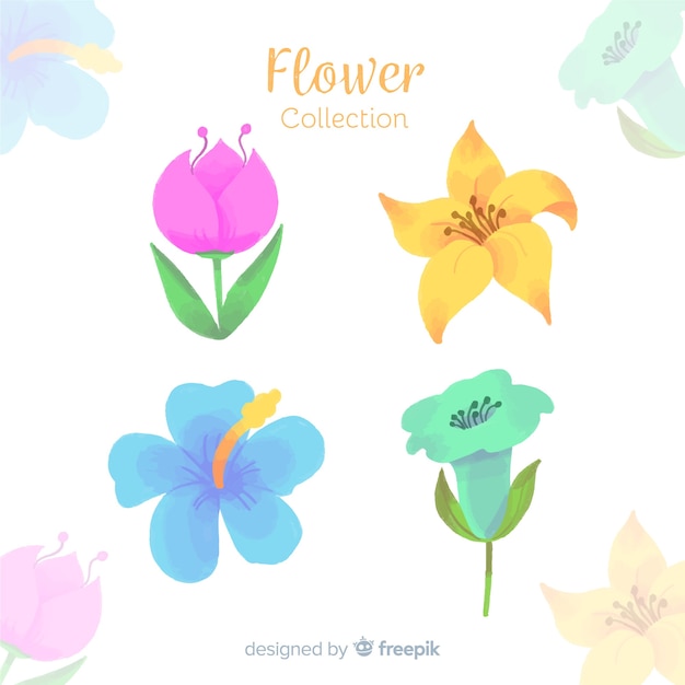 Gratis vector bloem en bladeren collectie