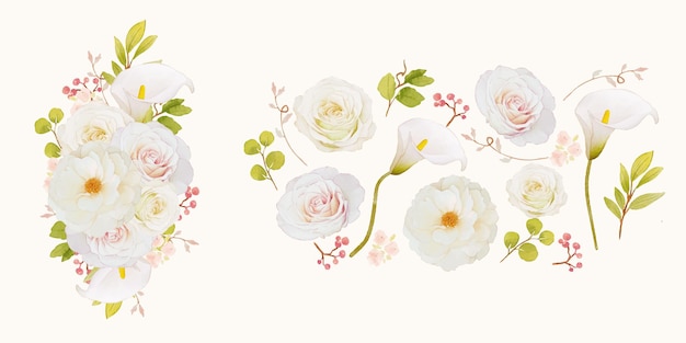bloem illustraties van witte rozen en calla lelie