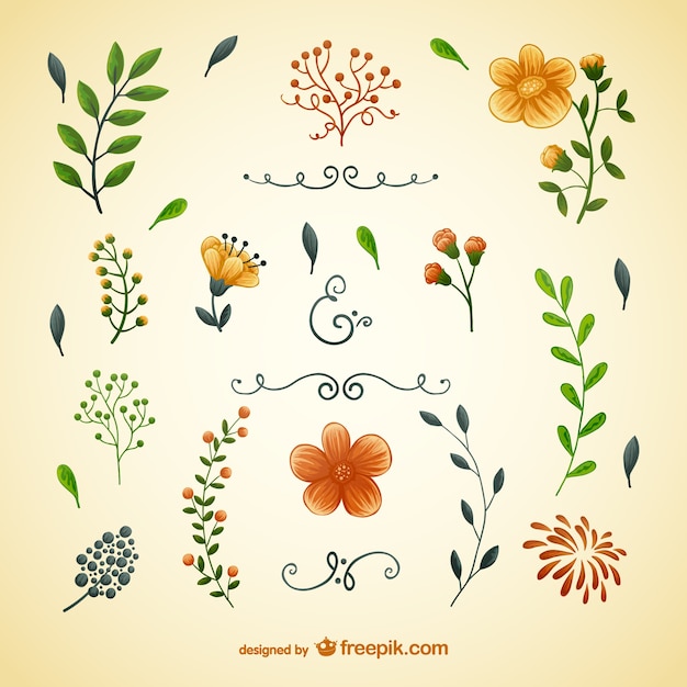 Bloemen en bladeren illustraties