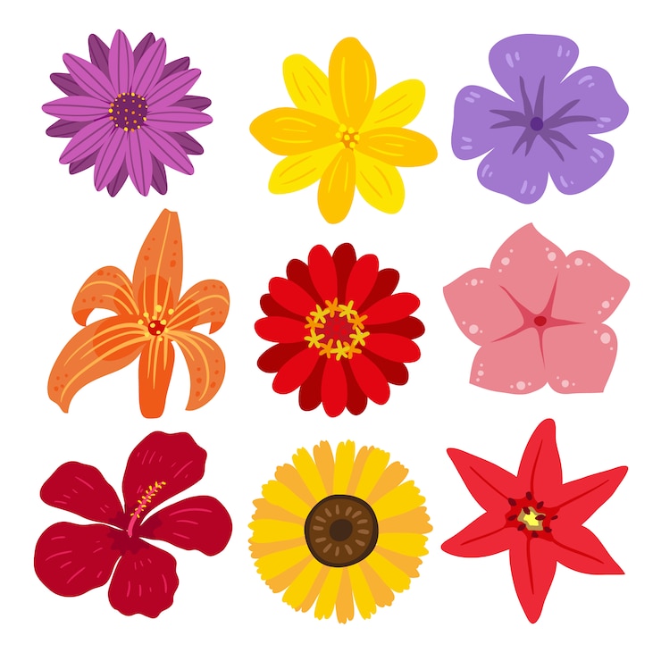 Gratis Vector bloemen illustratie collectie