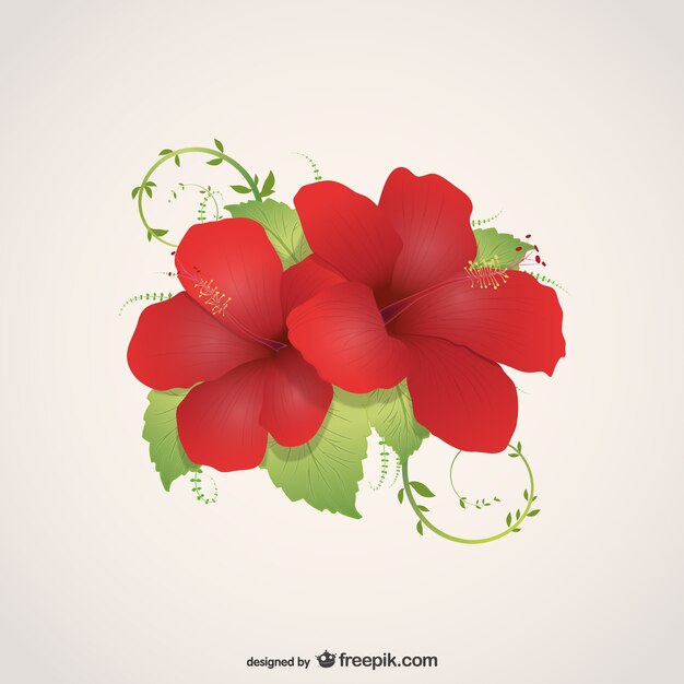 Bloemen illustratie vector