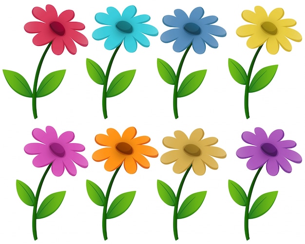 Gratis vector bloemen in acht verschillende kleuren