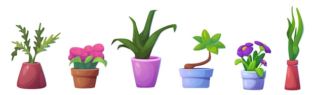 Bloemen in pot en vaas