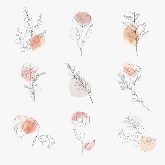 Bloemen lijntekeningen botanische aquarel minimale illustratie set