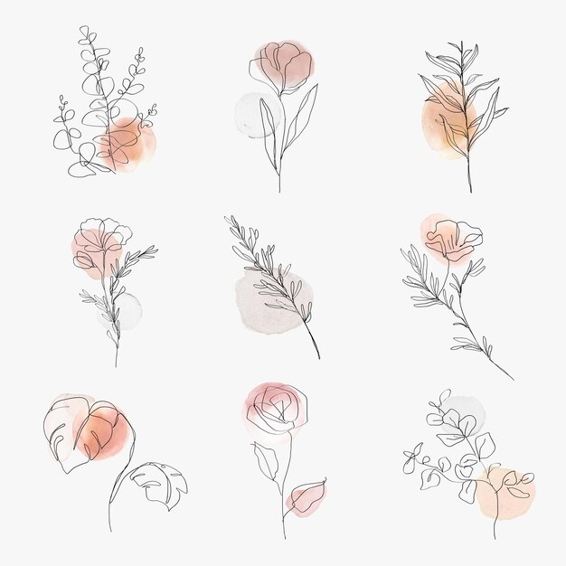 Bloemen lijntekeningen botanische aquarel minimale illustratie set