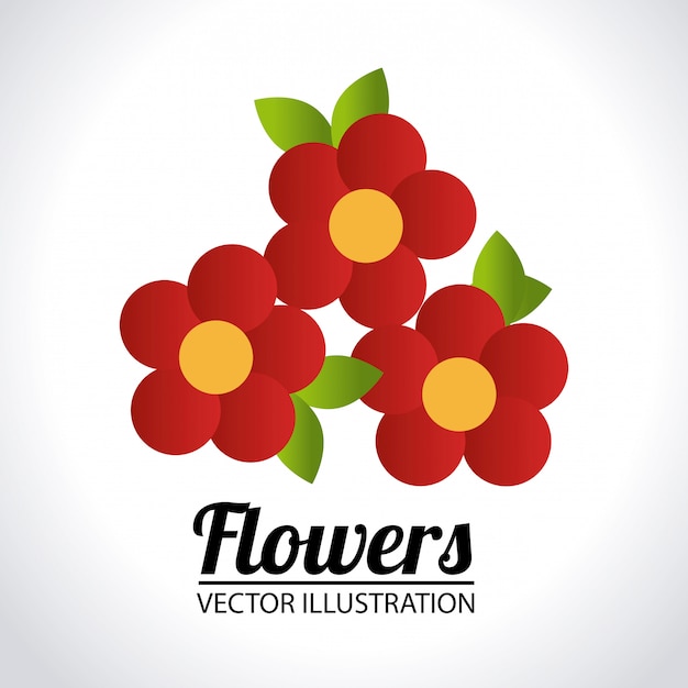 Bloemen ontwerp illustratie