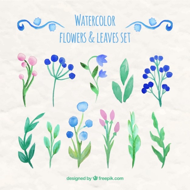 Gratis vector bloemen van de waterverf en bladeren set