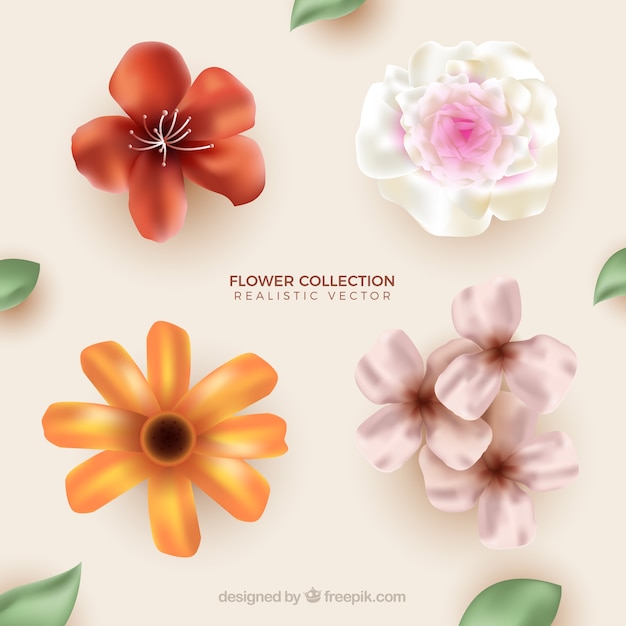 Gratis vector bloemencollectie in realistische stijl